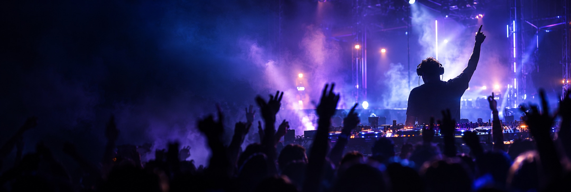Live electronic music crowd
